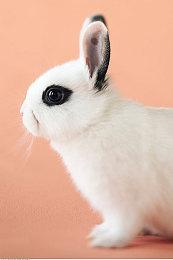 《Apex英雄》角色动作表情导致游戏崩溃 官方回应